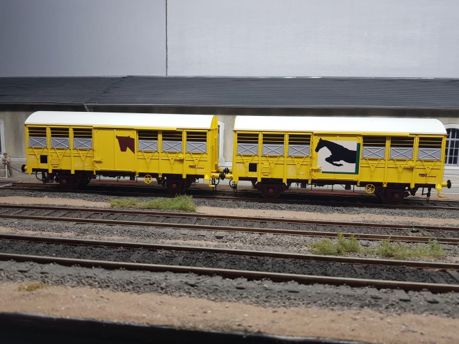 20201221_154512.jpg