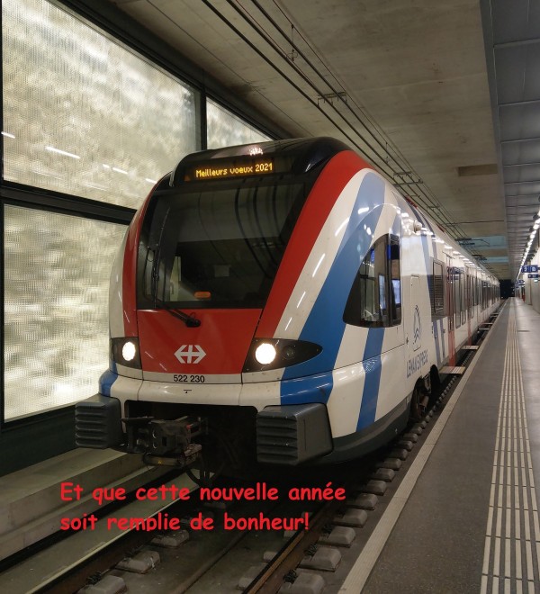 voeux_2021.jpg