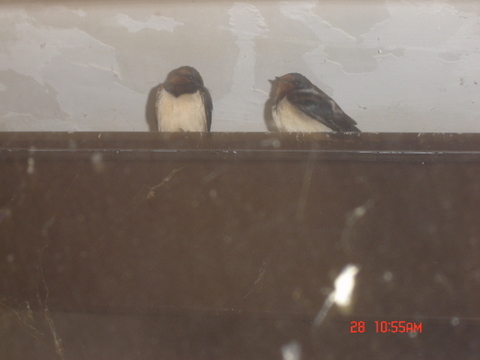 Photo 062.jpg