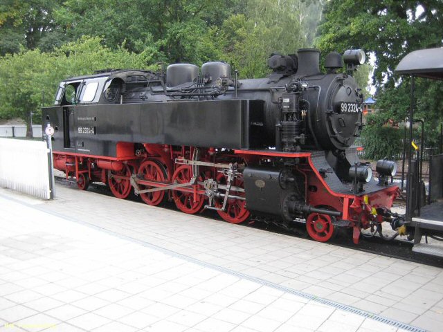 Molli 992324-4.jpg