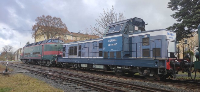 photo Sylvain Lamy.jpg