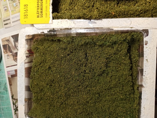 buisson faller 2.jpg