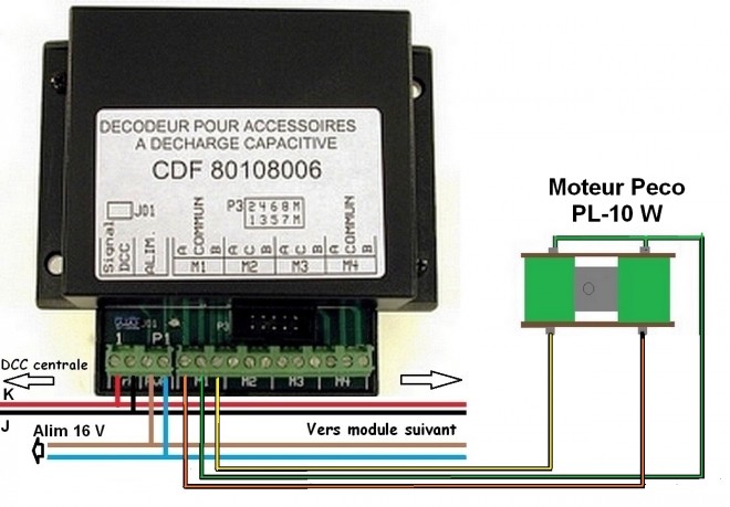 Cablage décodeur- moteur PL-10  Peco.jpg