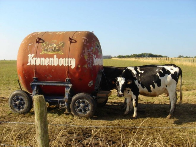 Kronenbourg.jpg