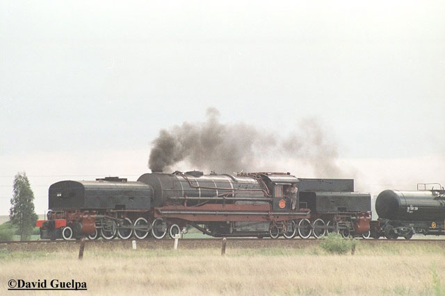 GL2351.jpg