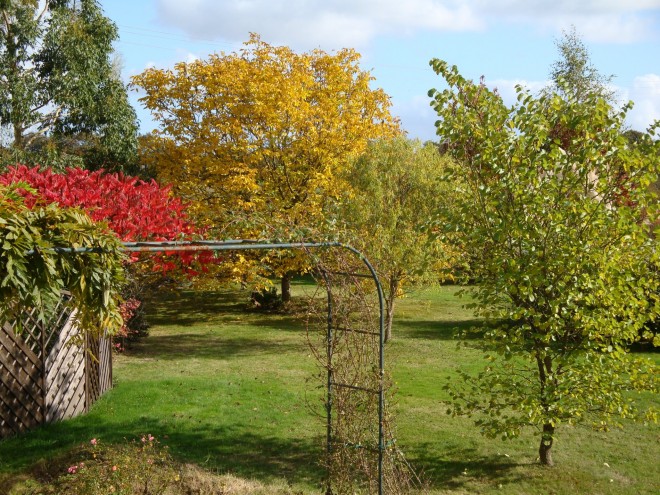 jardinautomn.jpg