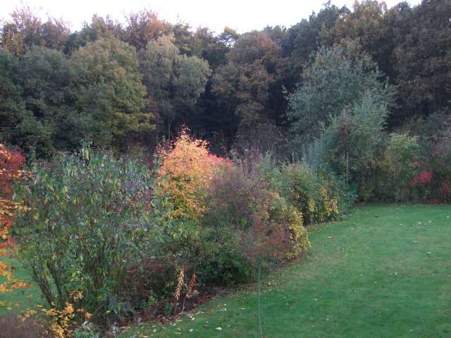Jardin 001_PhotoRedukto.jpg