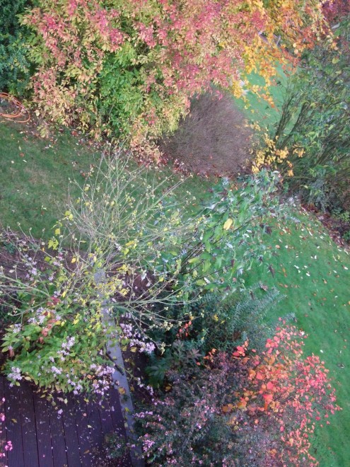 Jardin 003.jpg