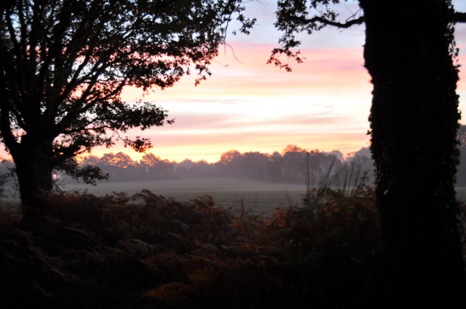 Matin_4.JPG