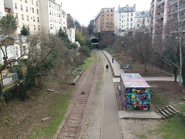 PETITE CEINTURE.jpg