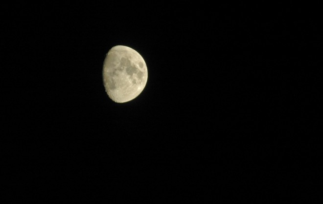 DSC_8256brw.jpg