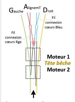img.jpg