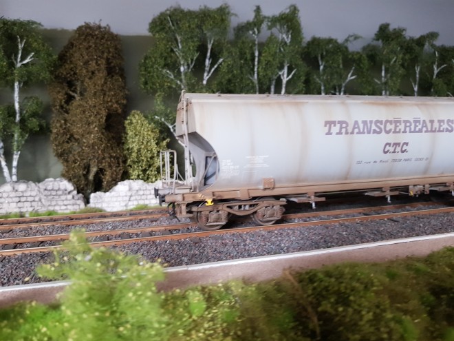 20250726_143115.jpg