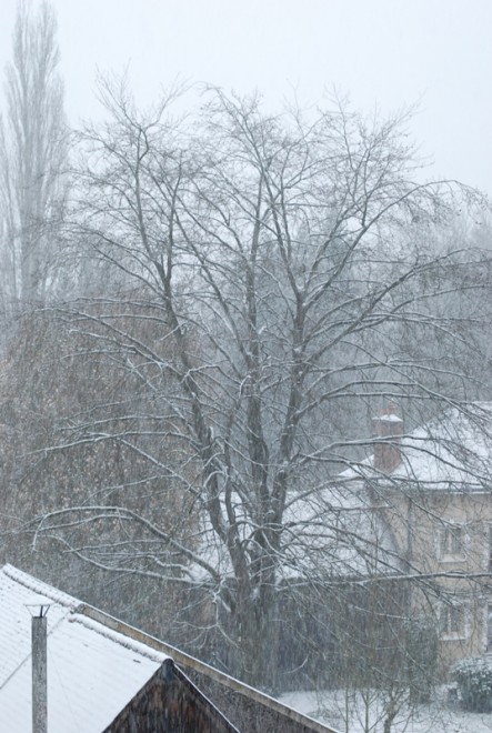 neige.JPG