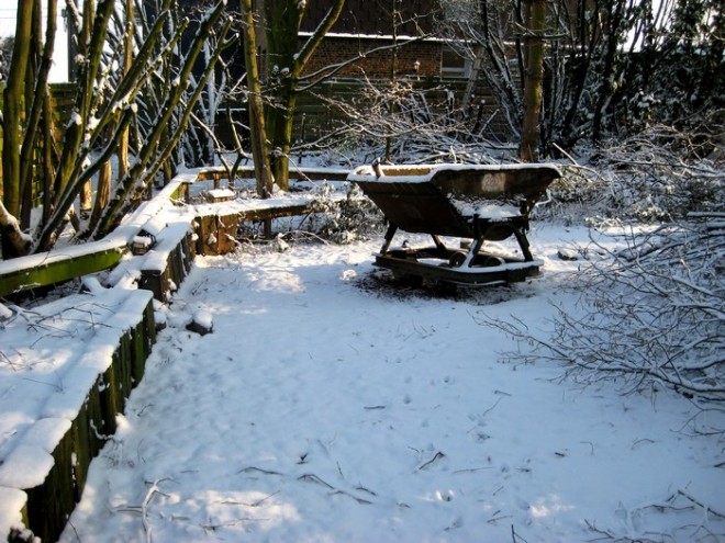 hiver dec 2009.jpg