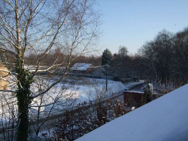 Jardin 004_PhotoRedukto.jpg
