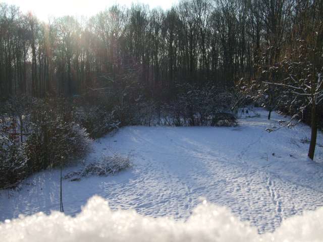Jardin 005_PhotoRedukto.jpg