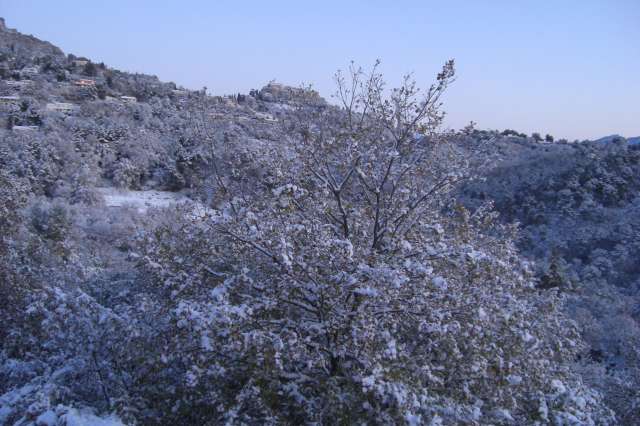 CIMG3716_PhotoRedukto.jpg