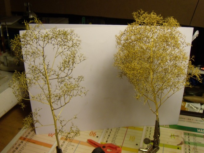 DSCN1370.JPG