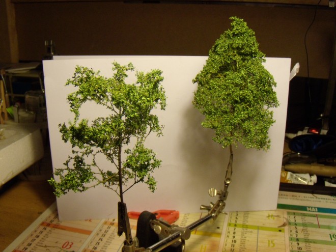 DSCN1373.JPG