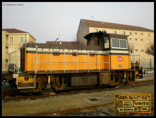 Y8339.jpg