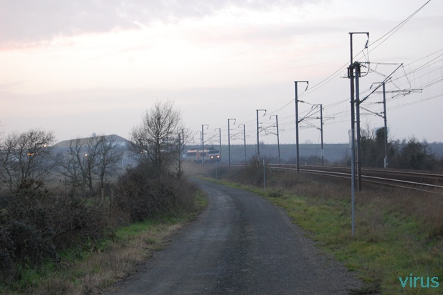 DSC_2493.JPG