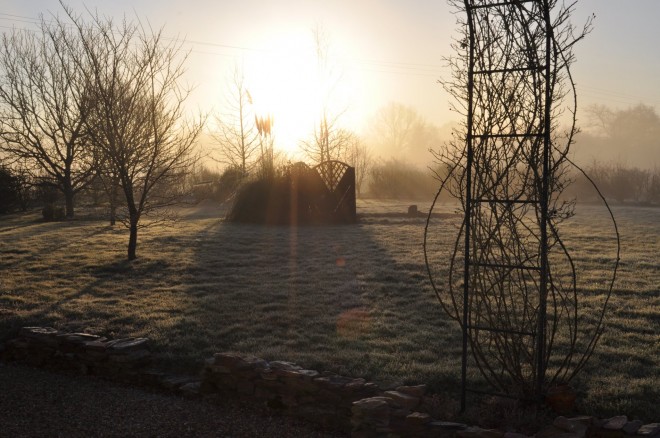 jardin_2.jpg