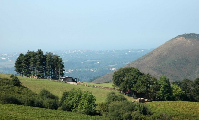 La Rhune-0032rw.jpg