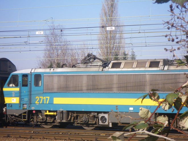 IMGP0375.JPG