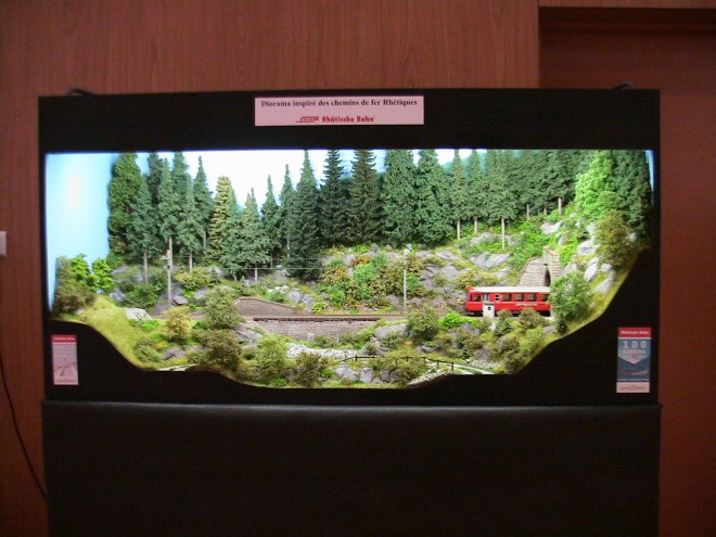 EXPO MONTBELIARD 03 2010 132.JPG