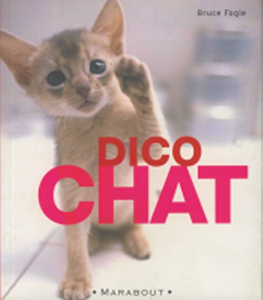 dico_chat_site_grand.jpg