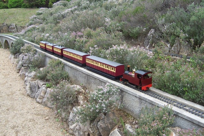 DCP_4207.JPG