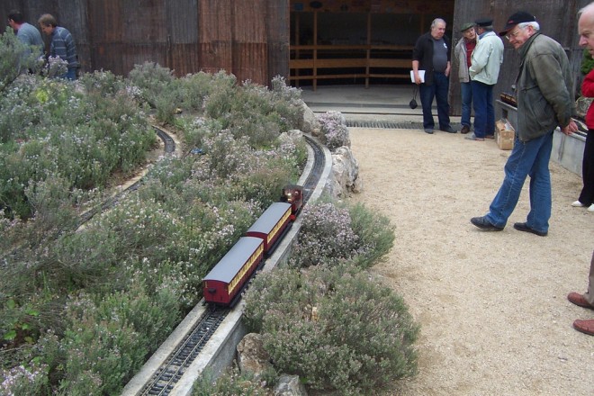DCP_4219.JPG