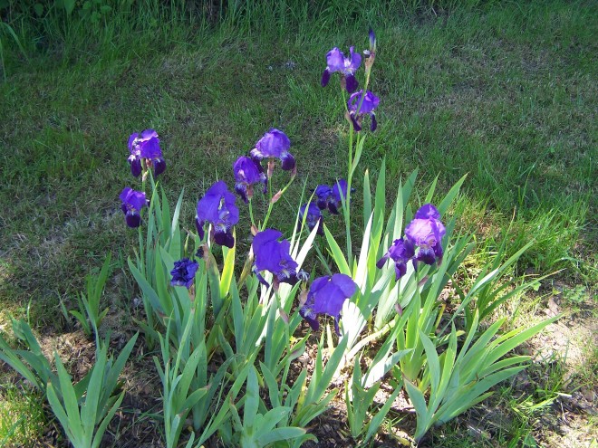 100_4857.JPG