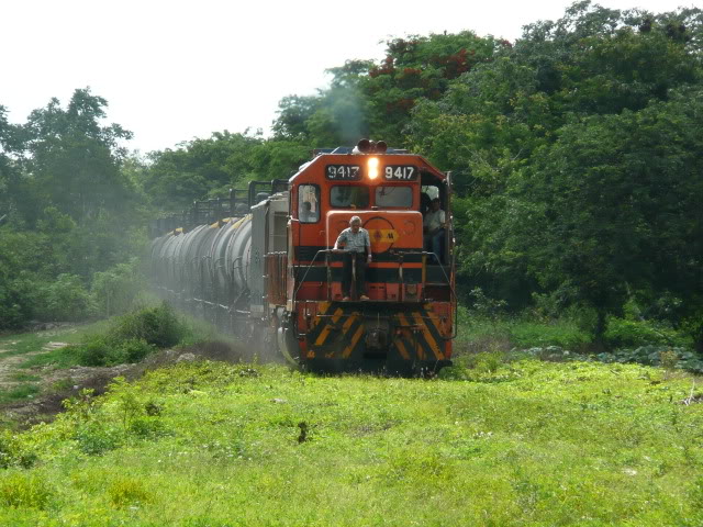 P1070369.jpg