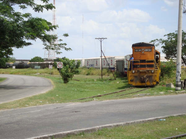 DSC02395[1].jpg