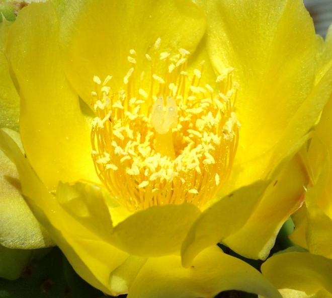 DSC_8352rrw.jpg