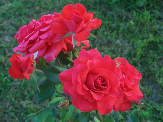 100_4884.JPG