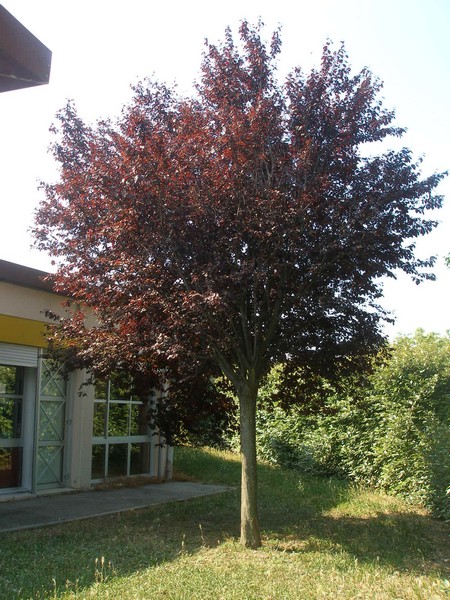1.JPG