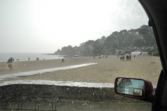 DSC_8515rw2.jpg