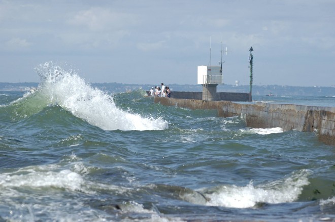 DSC_8648rw.jpg