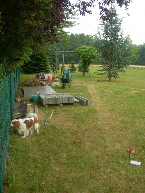 DSCN8282.JPG