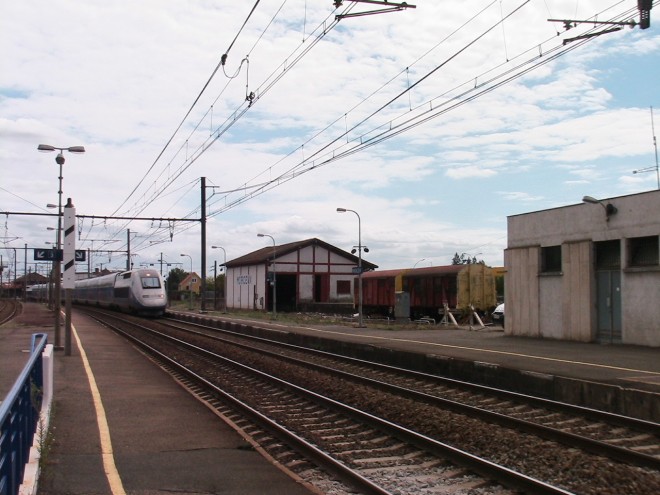 PHOTOARCHIVES 2010 8 004.JPG