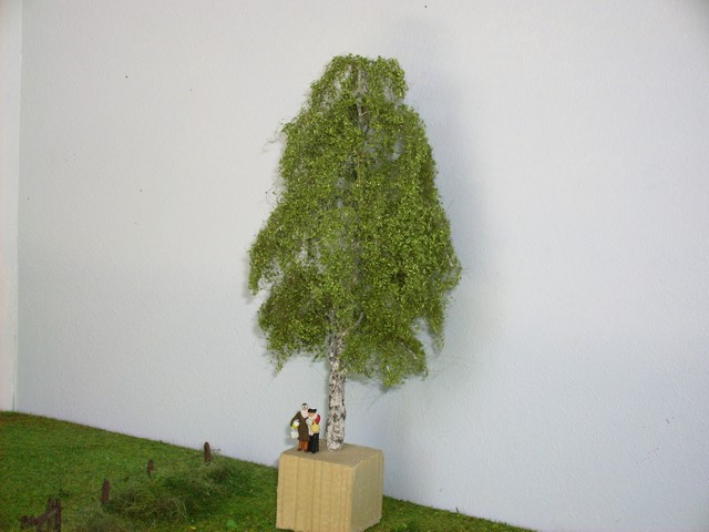 bouleau.JPG