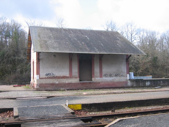 halle.jpg