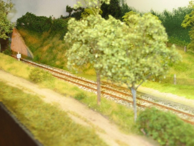 montelirail 2010 013.jpg