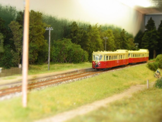 montelirail 2010 016.jpg