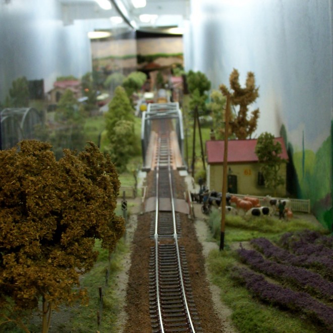 100_2626tn1.JPG
