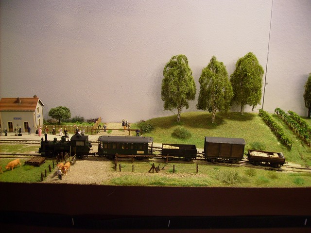 train1.JPG