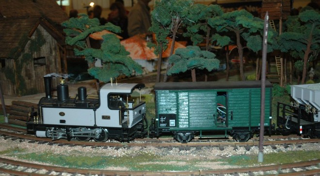 DSC_2611rw.jpg